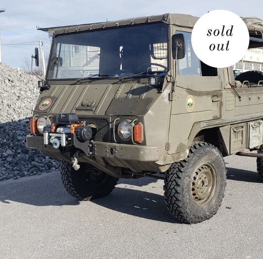 Pinzgauer winch mount