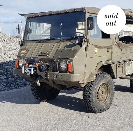 Pinzgauer winch mount